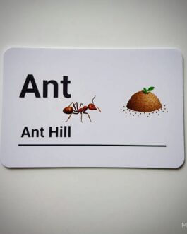 Animals And Their Houses