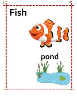 Animals And Their Houses